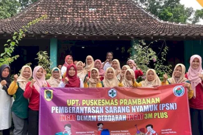 PSN, Pemberantasan Sarang Nyamuk